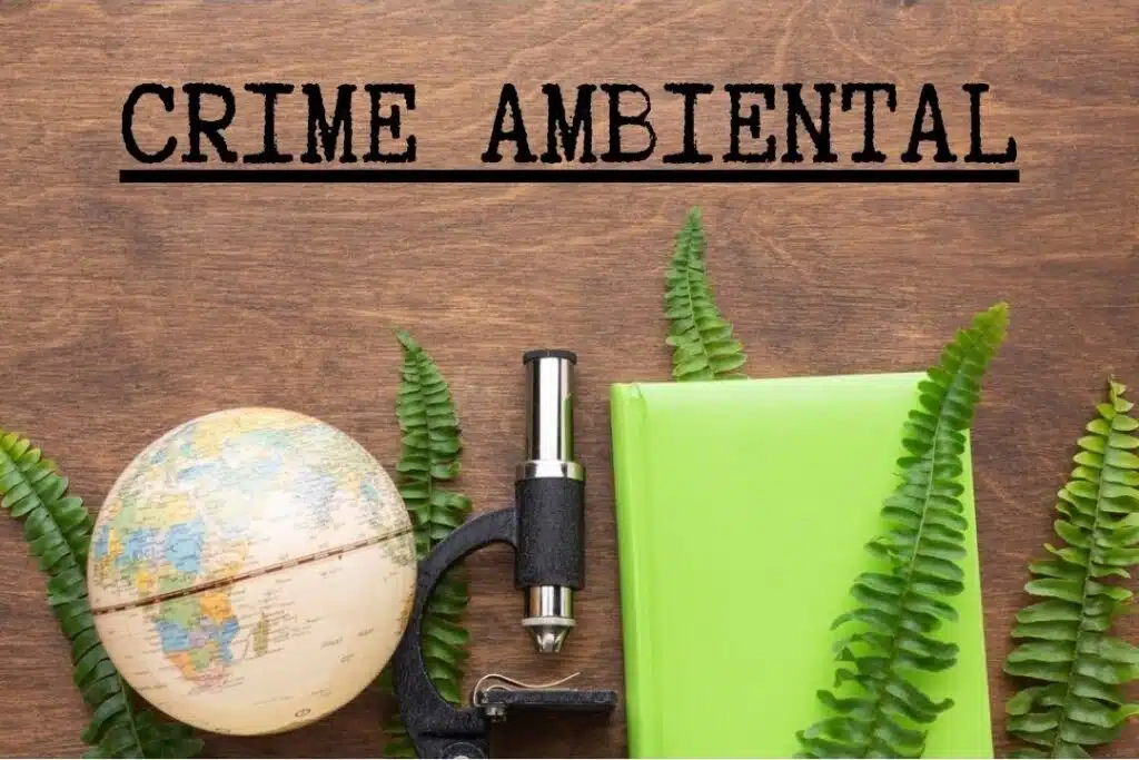 Conheças os principais crimes contra a administração ambiental, nos termos da lei de crimes ambientais - Lei 9605/98